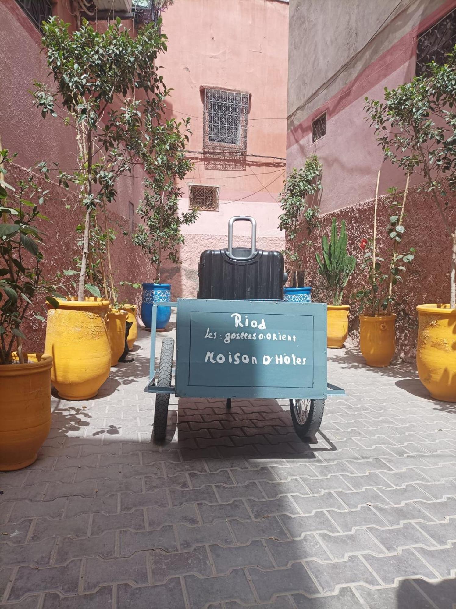 Riad Les Gazelles D'Orient Marrakech Marrákes Kültér fotó